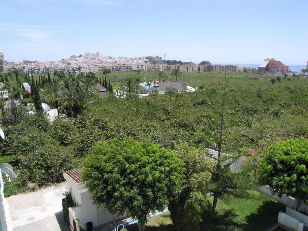 Las Palmeras Almunecar Bagian luar foto
