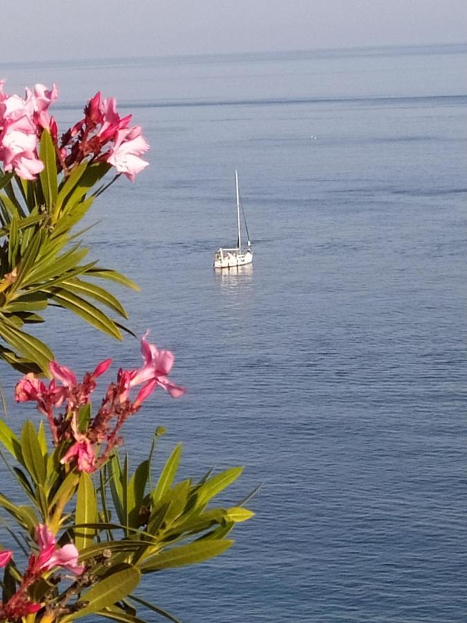 Las Palmeras Almunecar Bagian luar foto