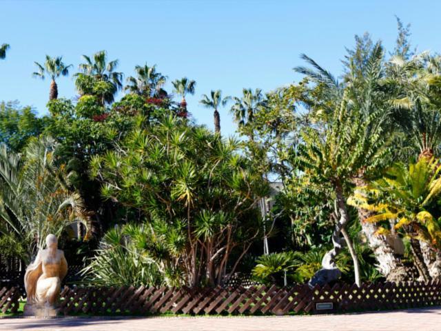 Las Palmeras Almunecar Bagian luar foto